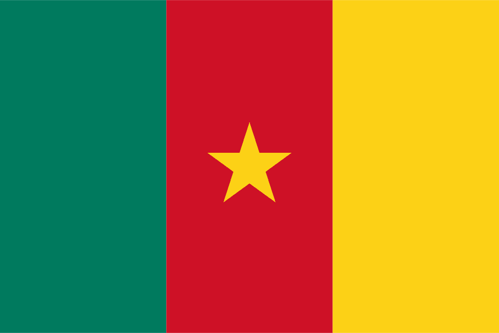 Cameroon_flag_colored