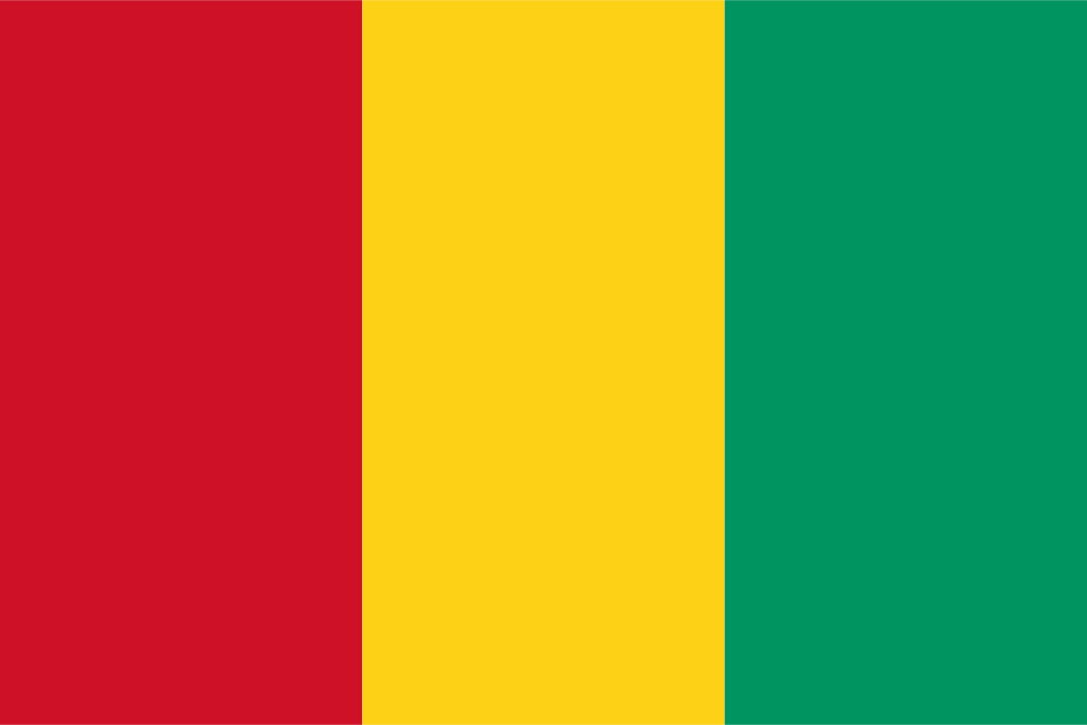 Guinea_flag_colored